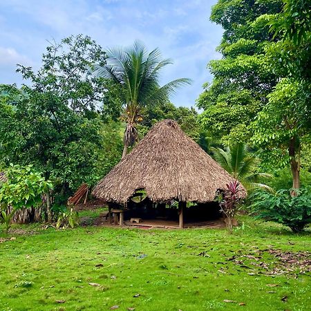 الزينو Teiku Cabanas المظهر الخارجي الصورة